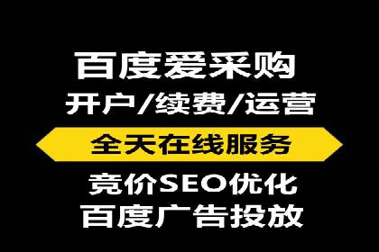 SEM竞价实战技巧，案例讲解与应用